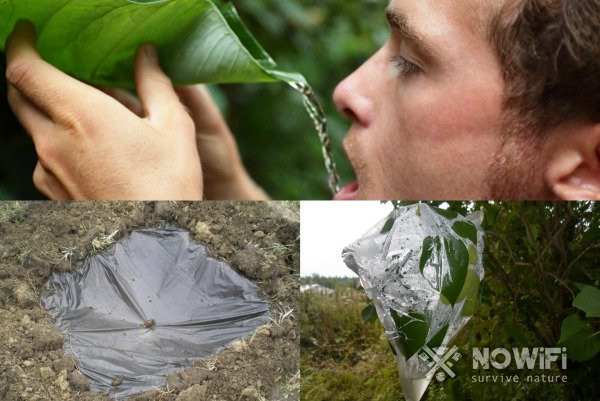 как найти питьевую воду на необитаемом острове