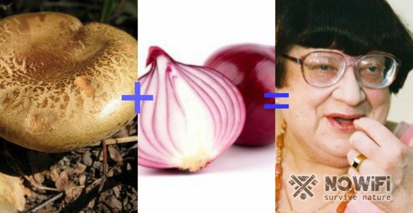как приготовить грибы свинушки