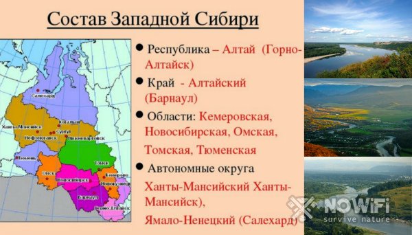 Природа Западной Сибири