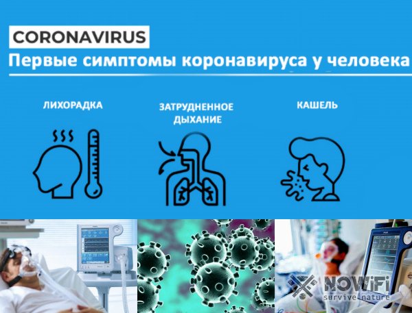Формы коронавируса