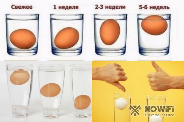 Как проверить свежесть яйца водой