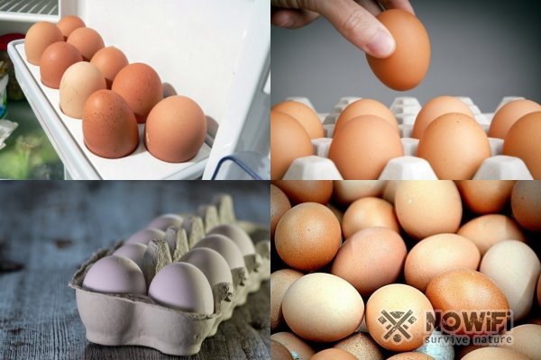 Как определить яйца по скорлупе