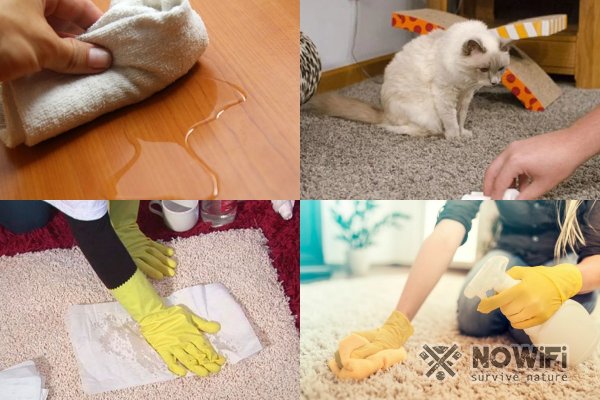 Как избавиться от запаха кошачьей мочи на полу